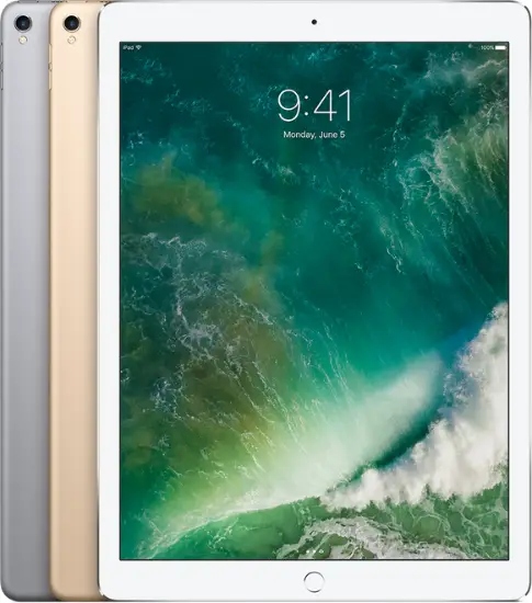 iPad Pro 12.9″ (1st and 2nd Generations)